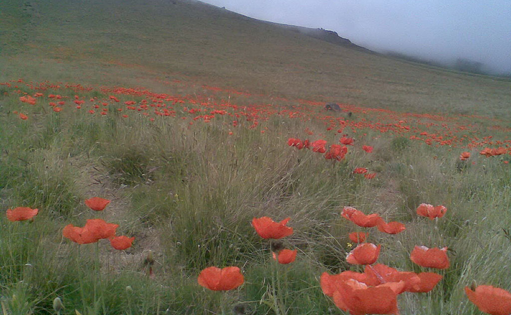 روستاهای زیبای اردبیل - آلوارس