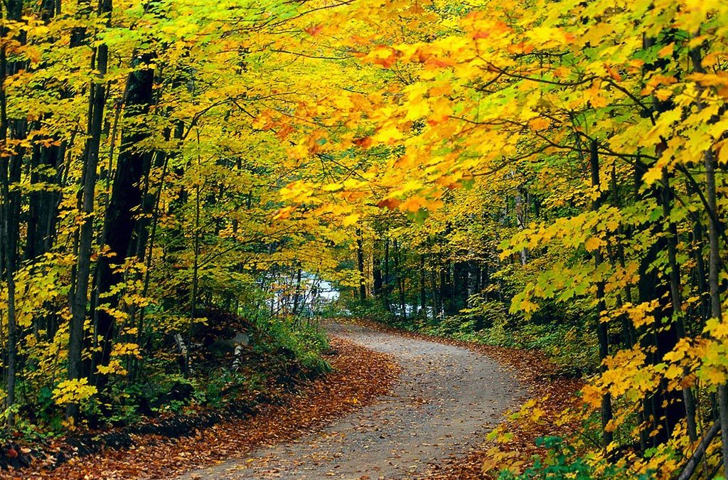 آشنایی با مهم ترین جاهای دیدنی مازندران - پارک جنگلی سی سنگان