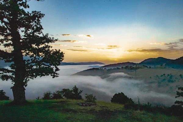 زیباترین جنگل های ایران